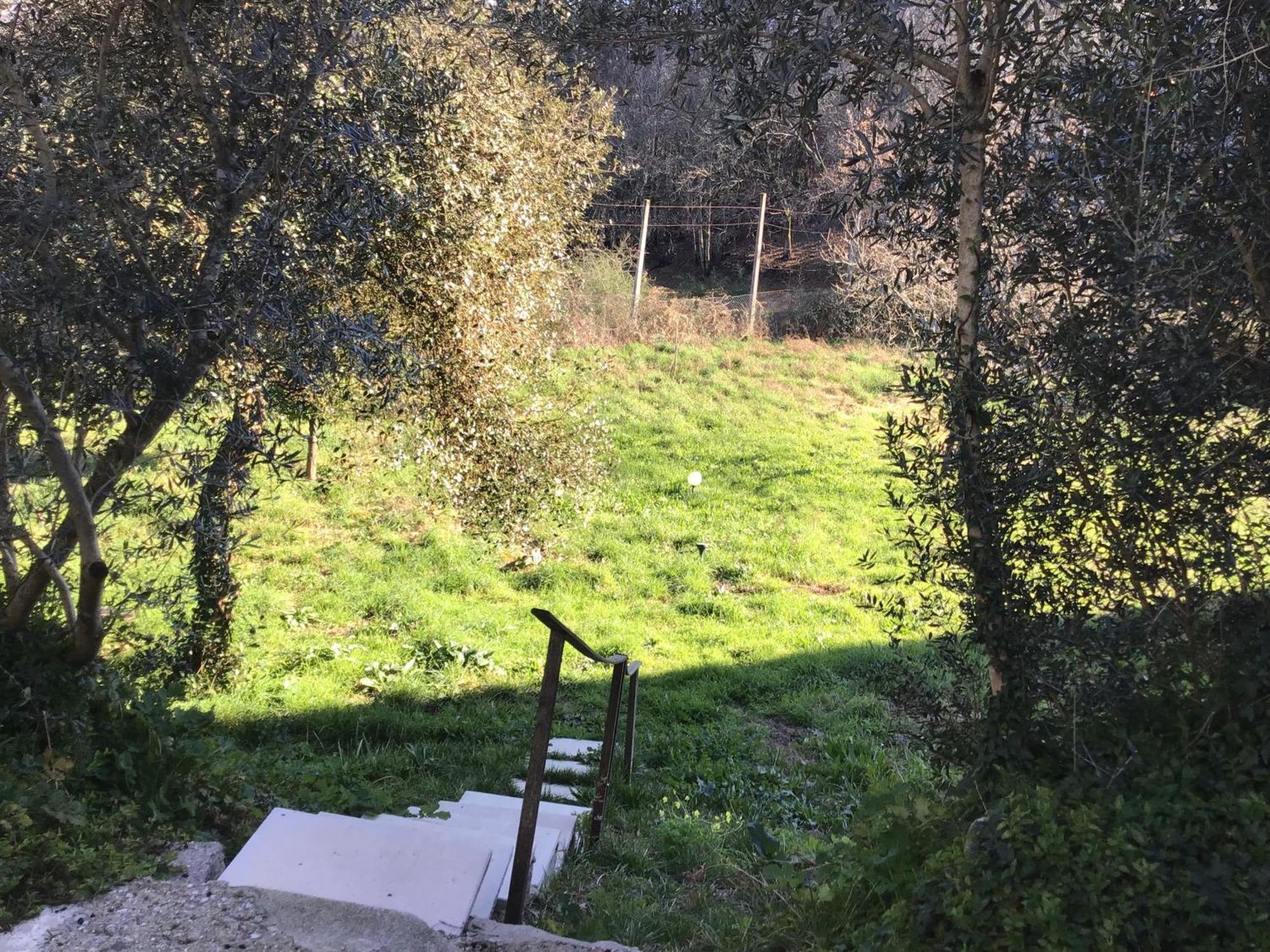 Villa Quinta Dos Trilhos à Fafe Extérieur photo